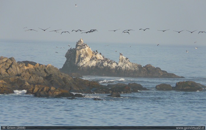 Sarco, Region de Atacama, Chile