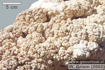 Minerales: Aragonito