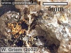 Minerales: Oro nativo