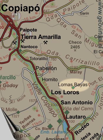 Karte Lomas Bayas in Atacama