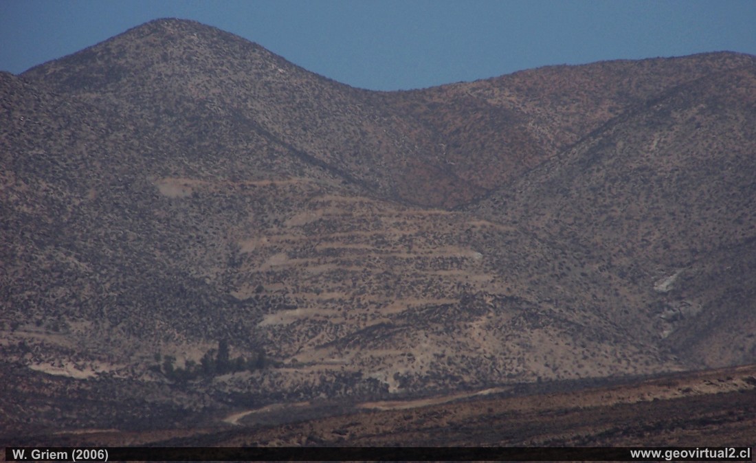 Der Totora Pass bei Freirina, Atacama Wüste, Chile