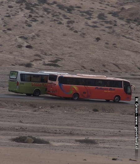 Buses en Atacama, Chile