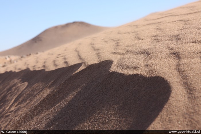 Barranca en una duna