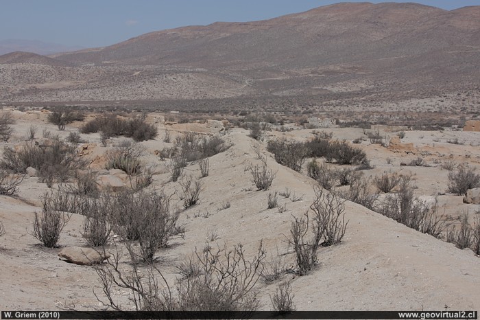Ramal a la ex fundición Agua Amarga, Región Atacama - Chile