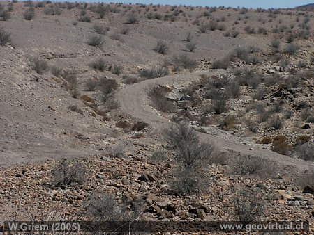 Ferrocarril entre Pabellón y Chañarcillo