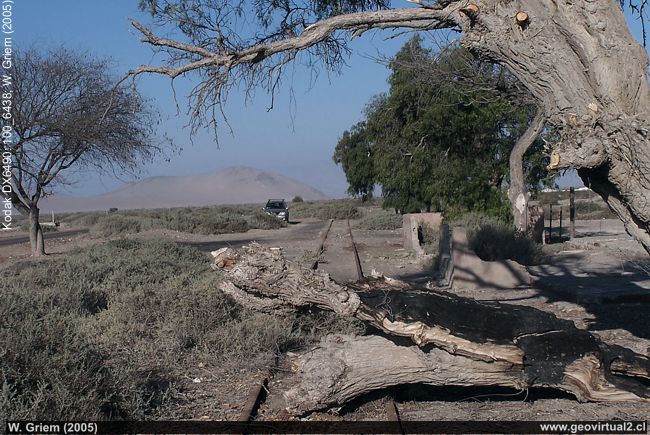 Estación ferrocarril Monte Amarg; Línea Caldera - Copiapó