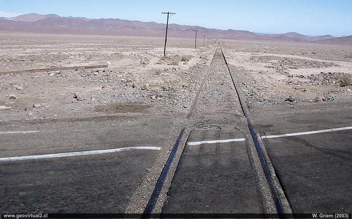 Llano San Pedro en la Región de Atacama, Chile