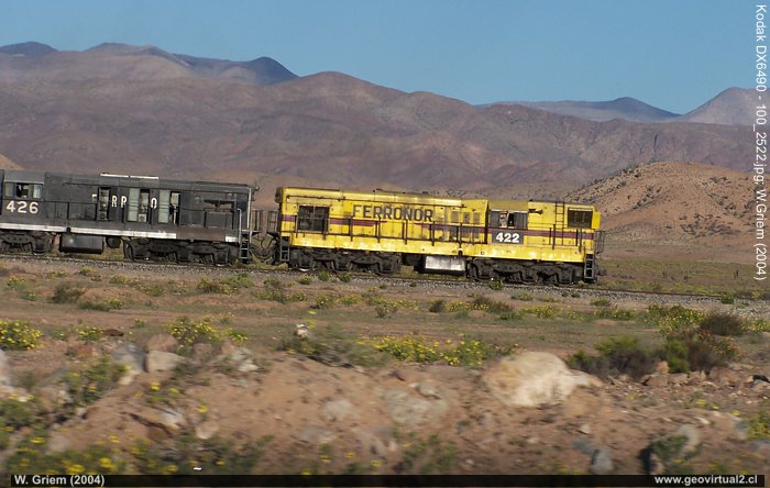 Tren entre Vallener y Los Colorados (Atacama, Chile)