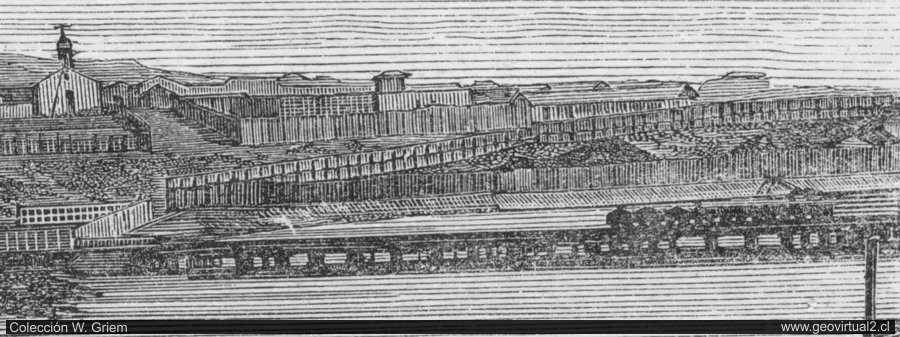 Carrizal Bajo de Tornero, Chile - Atacama