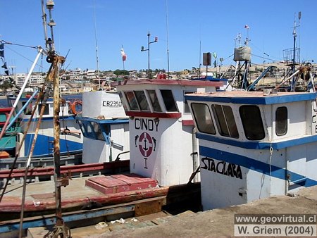 Fishing boats in the port of Caldera, Atacama Region; Chile