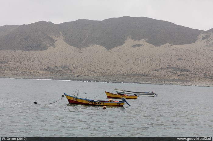 Caleta Pajonales, Region de Atacama