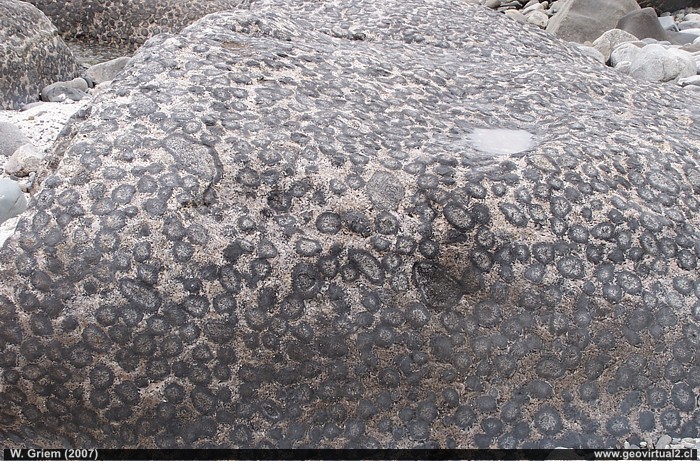 Granito Orbicular, Region de Atacama - Chile