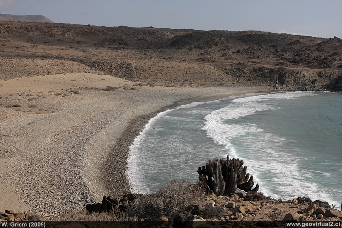 Playa Higuera, Region de Atacama
