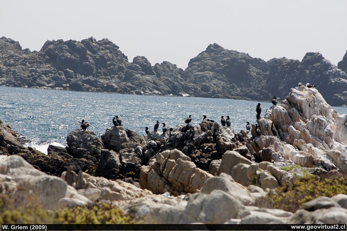 Litoral de Gaviotas, Region de Atacama - Chile