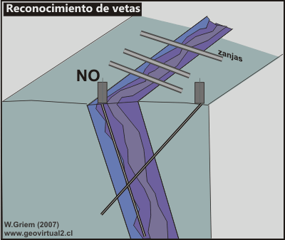 Reconocimiento de vetas
