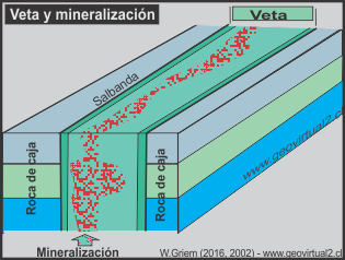 Mineralización de un depósito vetiforme