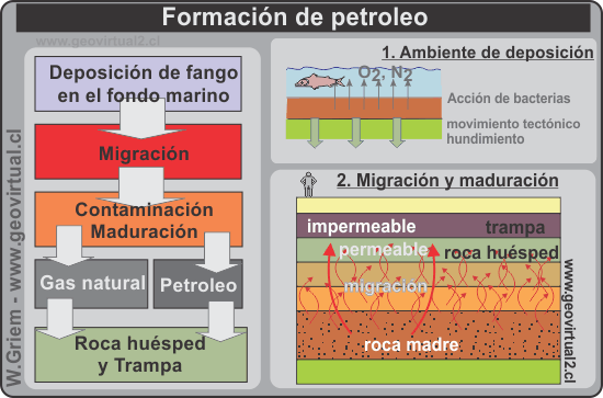 Formación de petroleo