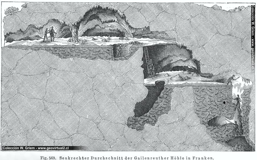 Credner (1891): Höhle mit Säugetierresten in Franken