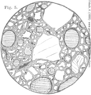 Anschliff eines Meteoriten