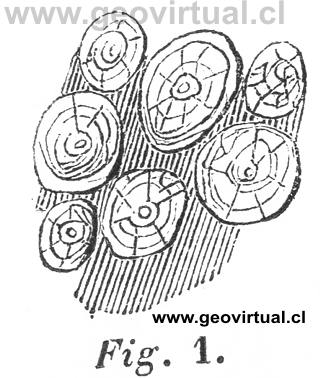 Hartmann, 1843: Kugel - Diorit