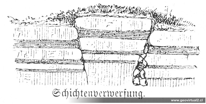 Lippert, 1878: Schichtenverwerfung, Horst