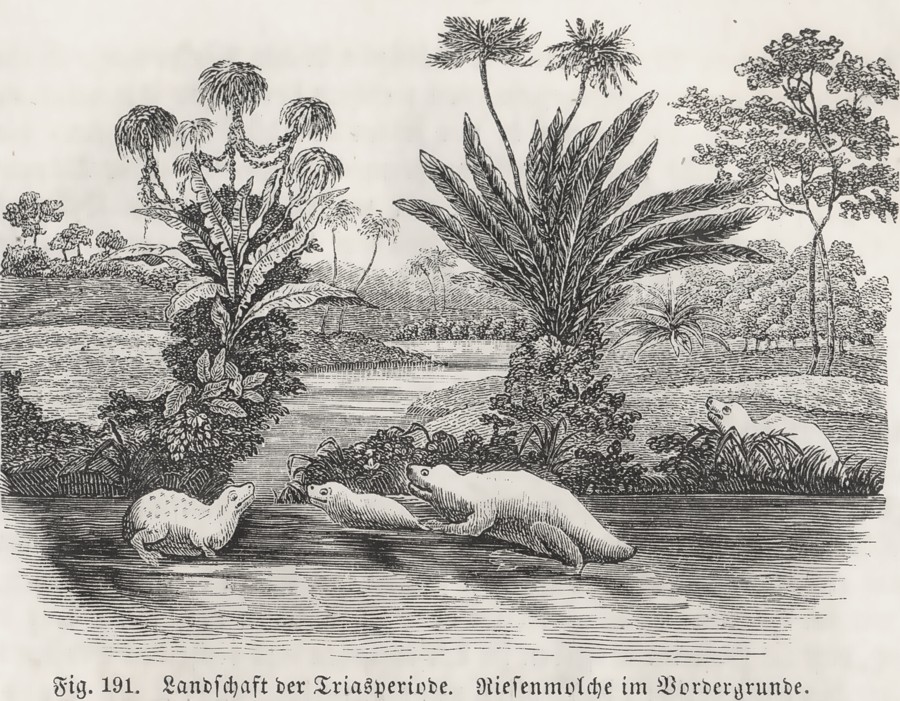 Historia de las geociencias - El Triásico