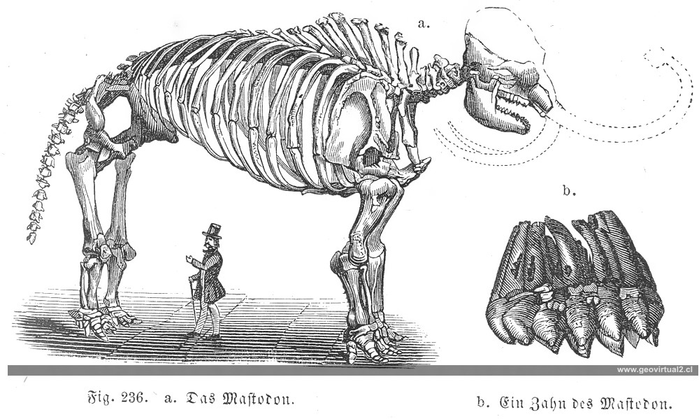 Ludwig 1861: Mastodonte