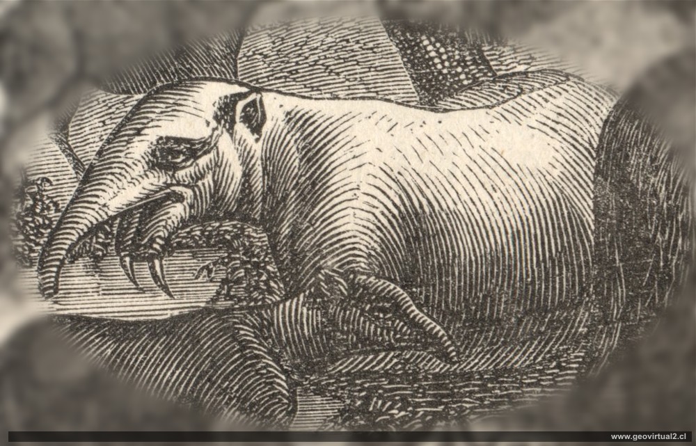 Dinotherium o Deinotherium