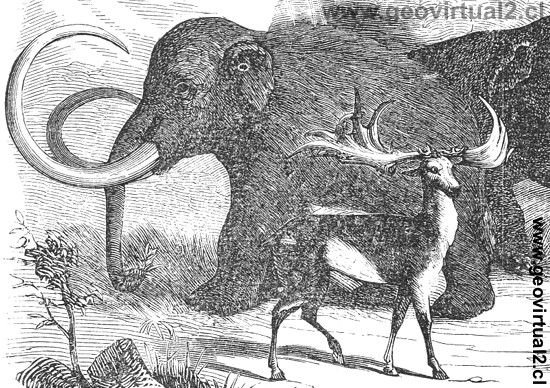 Dibujo de un mamut (Mammut) - Ludwig (1861)