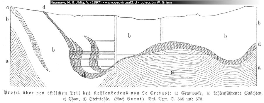 Kohlebecken von Creusot, Frankreich (Neumayr & Uhlig, 1897)
