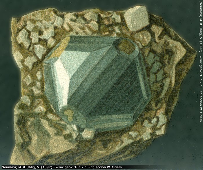 Galena (Neumayr & Uhlig, 1897)