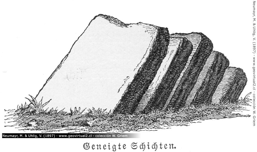 Neumayr - Geneigte Schichten