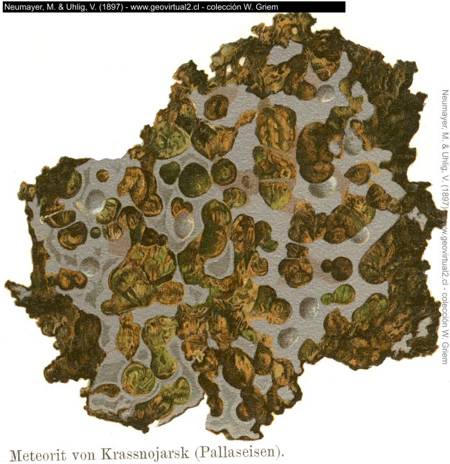 Neumayr & Uhlig (1897): Meteorit, Pallasit von Krassnojarsk