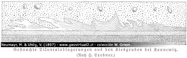Gestauchte Sedimente nach Credner