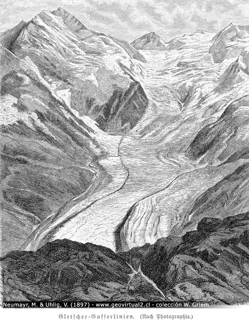 Gletscher-Gufferlinien. (Nach Photographie.) 
