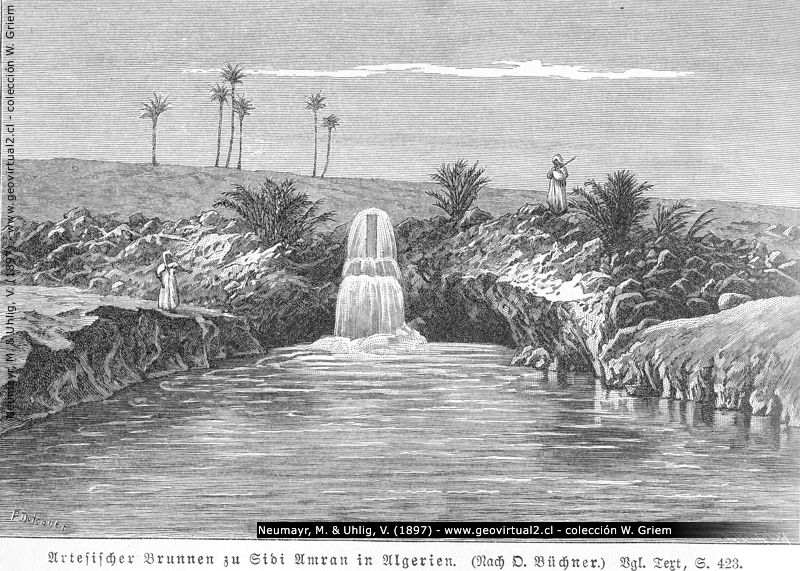 Neumayr & Uhlig (1897): Artesischer Brunnen, Algerien