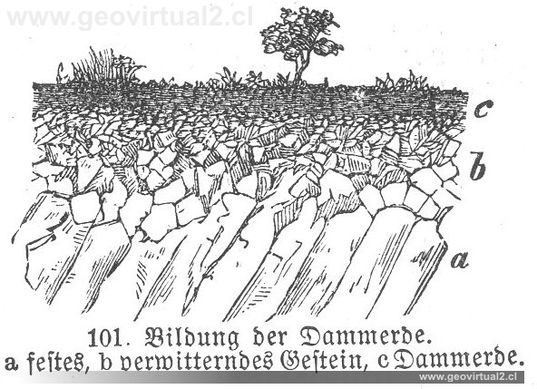 Polack, 1892: Formación de un suelo / Dammerde