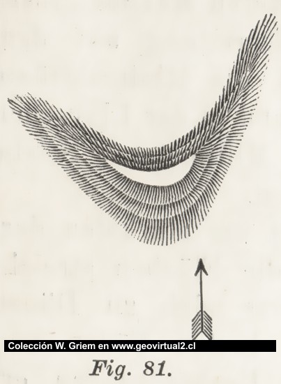 Transversal Dünen (Richthofen, 1886)