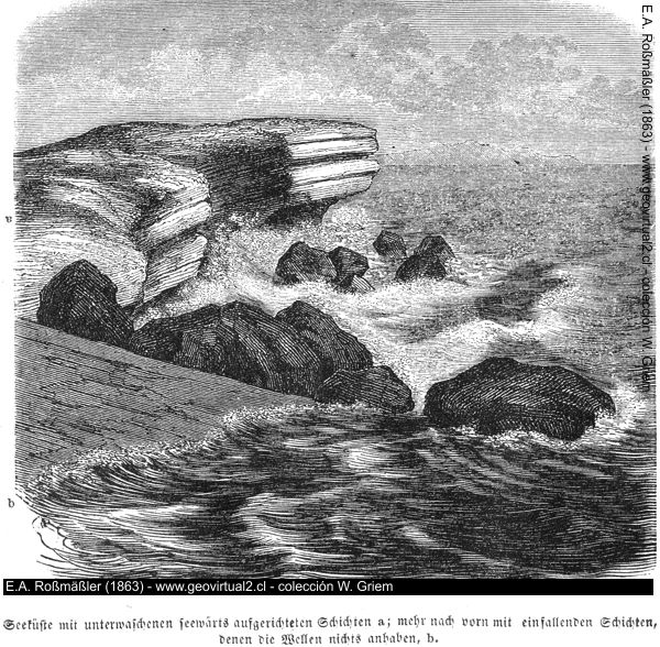 Erosión marina - Rossmässler (1863)