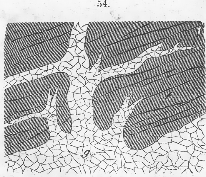 Roßmäßler (1863): Granit-Intrusion mi Apophyse