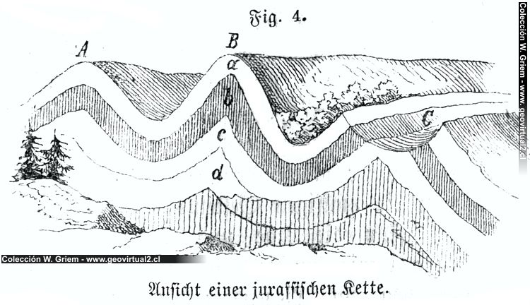 F. Siegmund (1877): Falten