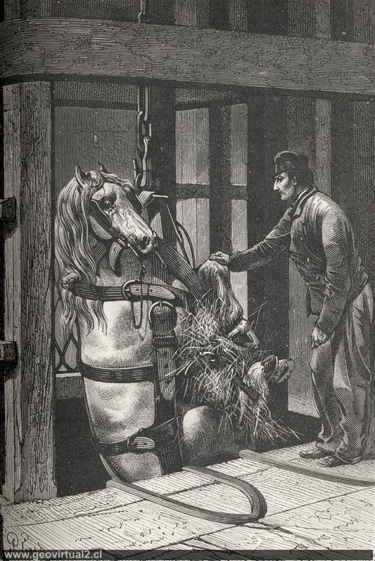 Herablassen eines Pferdes in die Mine  (Simonin, 1867)