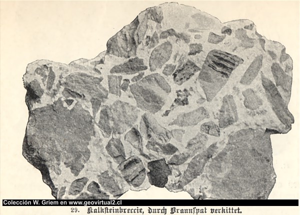 E. Treptow, 1900: Kalksteinbreccie