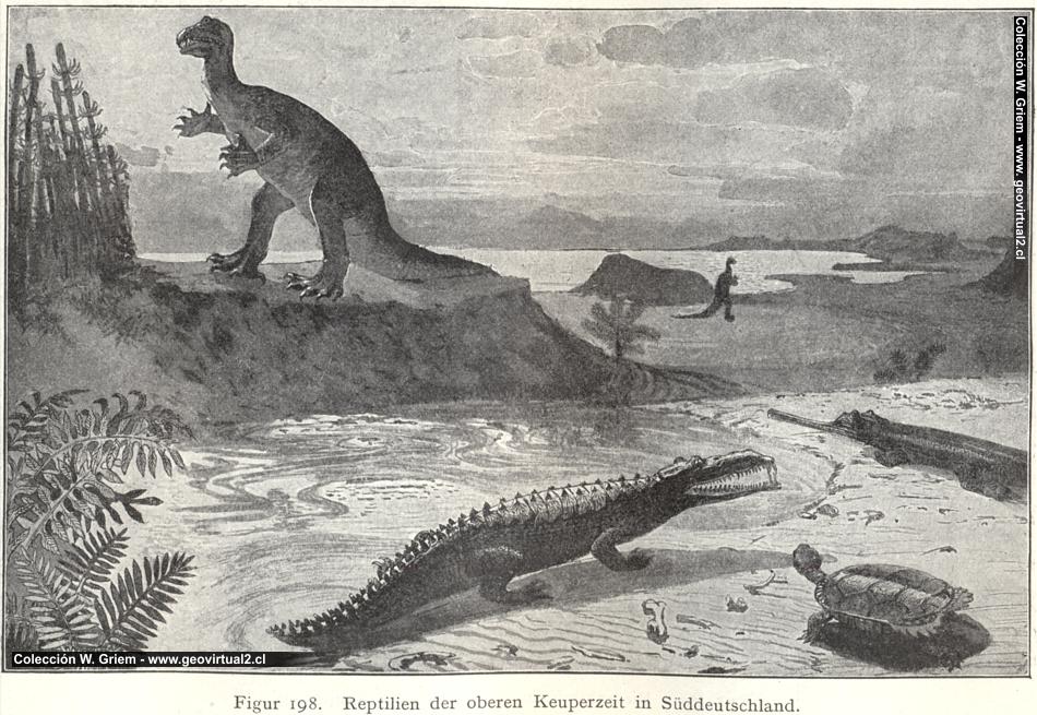 Dibujo de la época triásica - facies Keuper