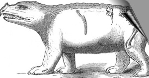 Pic 300 Paläontologie