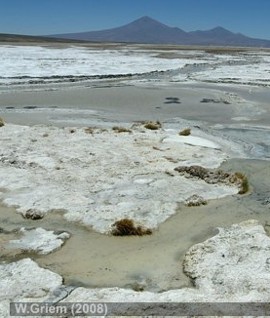 Salar de Pedernales en Atacama