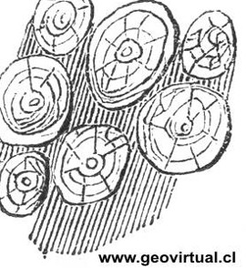 Diorita orbicular de 1843