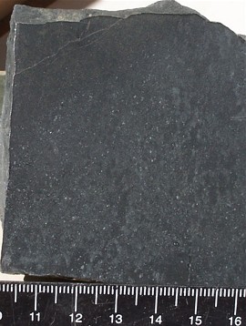 Lutita