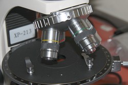 Mesa giratoria del microscopio