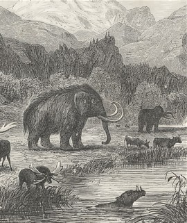 Paisaje del plioceno de Siegmund 1877